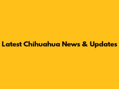 Latest Chihuahua News & Updates