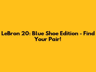 LeBron 20: Blue Shoe Edition - Find Your Pair!