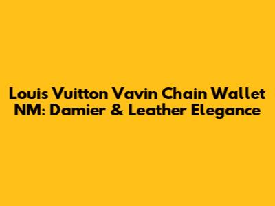 Louis Vuitton Vavin Chain Wallet NM: Damier & Leather Elegance