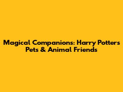 Magical Companions: Harry Potter's Pets & Animal Friends
