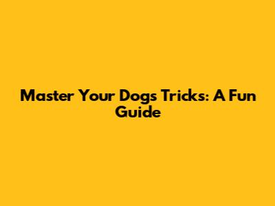 Master Your Dog's Tricks: A Fun Guide