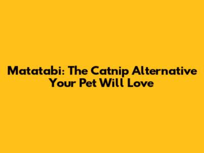 Matatabi: The Catnip Alternative Your Pet Will Love