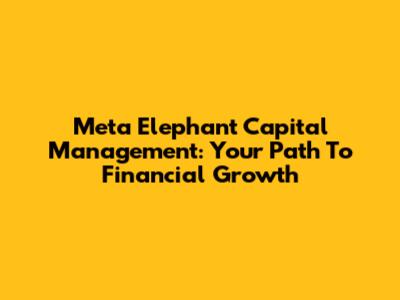 Meta Elephant Capital Management: Your Path To Financial Growth