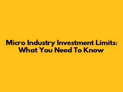 Micro Industry Investment Limits: What You Need To Know