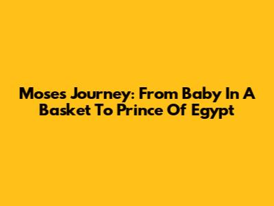 Moses' Journey: From Baby In A Basket To Prince Of Egypt