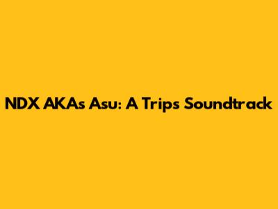 NDX AKA's 'Asu': A Trip's Soundtrack