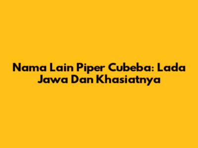 Nama Lain Piper Cubeba: Lada Jawa Dan Khasiatnya