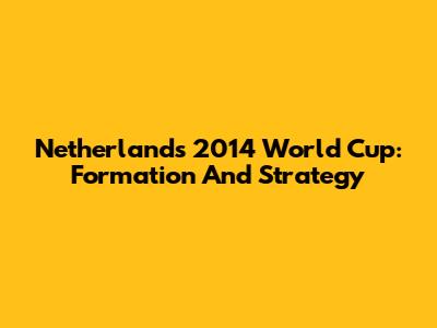 Netherlands' 2014 World Cup: Formation And Strategy