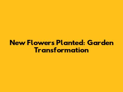 New Flowers Planted: Garden Transformation
