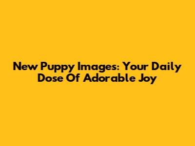 New Puppy Images: Your Daily Dose Of Adorable Joy
