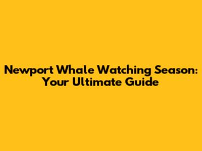 Newport Whale Watching Season: Your Ultimate Guide