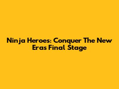 Ninja Heroes: Conquer The New Era's Final Stage