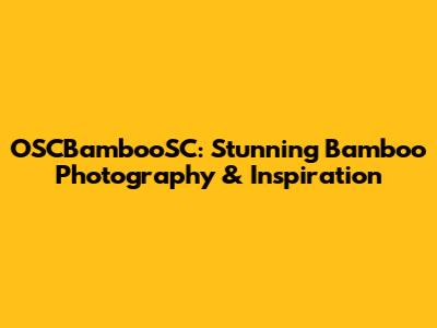 OSCBambooSC: Stunning Bamboo Photography & Inspiration