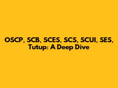 OSCP, SCB, SCES, SCS, SCUI, SES, Tutup: A Deep Dive