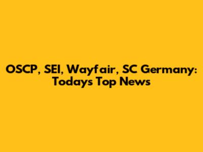 OSCP, SEI, Wayfair, SC Germany: Today's Top News
