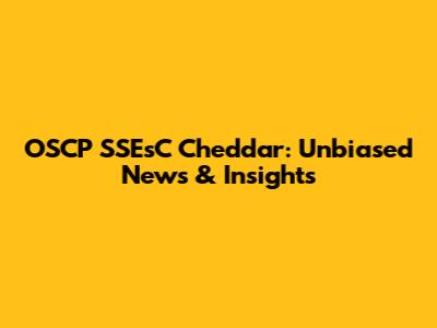 OSCP SSEsC Cheddar: Unbiased News & Insights