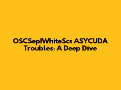 OSCSepIWhiteSc's ASYCUDA Troubles: A Deep Dive