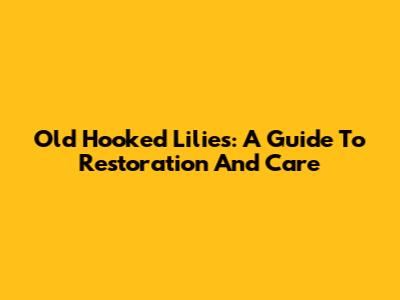 Old Hooked Lilies: A Guide To Restoration And Care