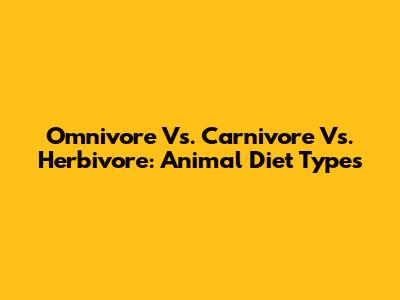 Omnivore Vs. Carnivore Vs. Herbivore: Animal Diet Types