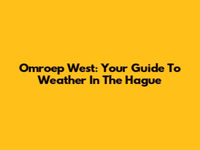 Omroep West: Your Guide To Weather In The Hague