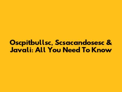 Oscpitbullsc, Scsacandosesc & Javali: All You Need To Know