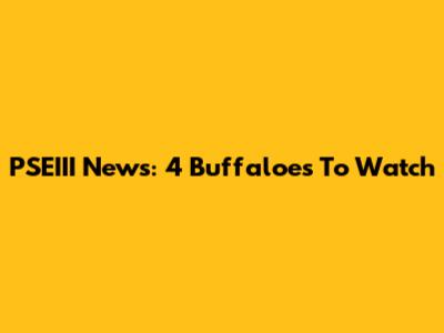 PSEIII News: 4 Buffaloes To Watch