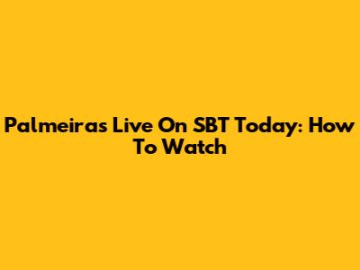 Palmeiras Live On SBT Today: How To Watch
