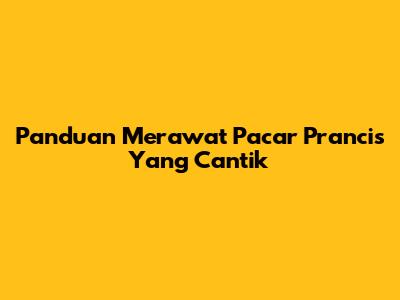 Panduan Merawat Pacar Prancis Yang Cantik