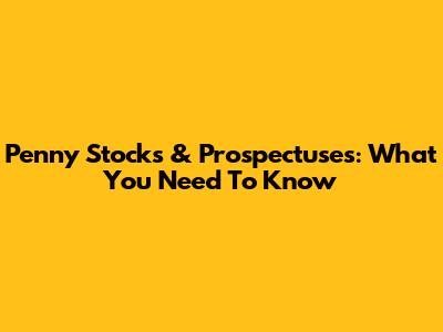Penny Stocks & Prospectuses: What You Need To Know