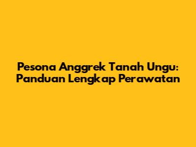 Pesona Anggrek Tanah Ungu: Panduan Lengkap Perawatan
