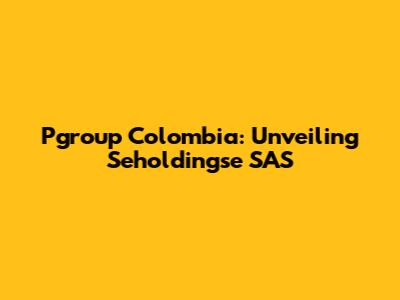Pgroup Colombia: Unveiling Seholdingse SAS