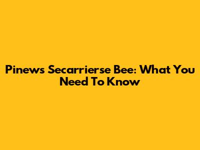 Pinews Secarrierse Bee: What You Need To Know