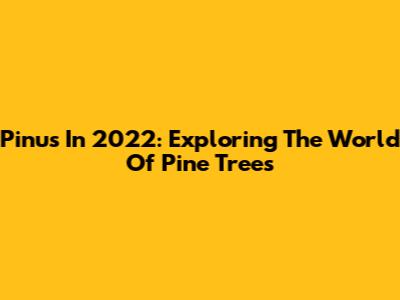 Pinus In 2022: Exploring The World Of Pine Trees