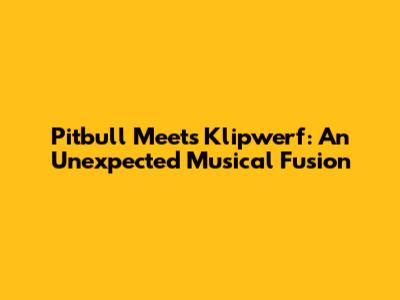 Pitbull Meets Klipwerf: An Unexpected Musical Fusion