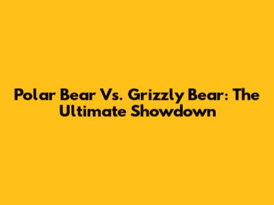 Polar Bear Vs. Grizzly Bear: The Ultimate Showdown