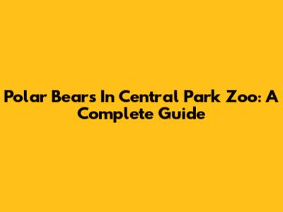 Polar Bears In Central Park Zoo: A Complete Guide