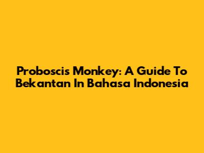 Proboscis Monkey: A Guide To Bekantan In Bahasa Indonesia