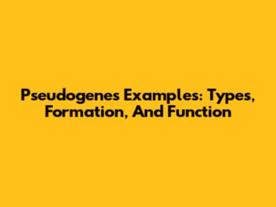 Pseudogenes Examples: Types, Formation, And Function