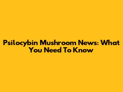 Psilocybin Mushroom News: What You Need To Know