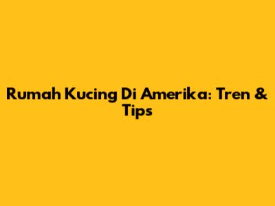 Rumah Kucing Di Amerika: Tren & Tips