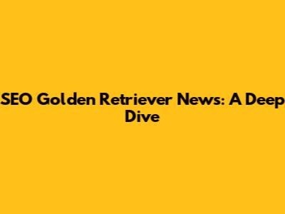 SEO Golden Retriever News: A Deep Dive