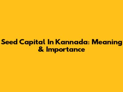 Seed Capital In Kannada: Meaning & Importance