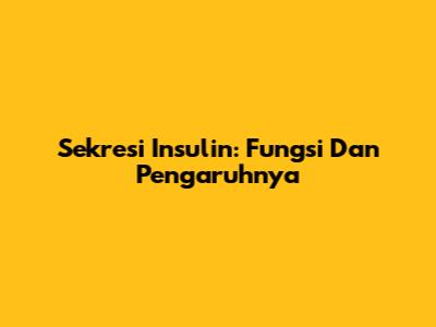 Sekresi Insulin: Fungsi Dan Pengaruhnya
