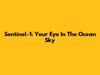 Sentinel-1: Your Eye In The Ocean Sky