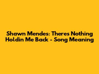 Shawn Mendes: There's Nothing Holdin' Me Back - Song Meaning