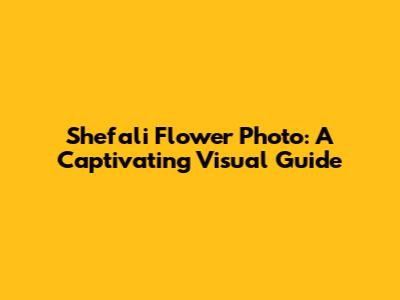 Shefali Flower Photo: A Captivating Visual Guide