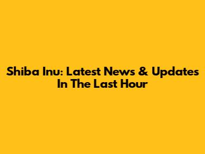 Shiba Inu: Latest News & Updates In The Last Hour