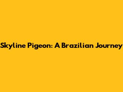Skyline Pigeon: A Brazilian Journey