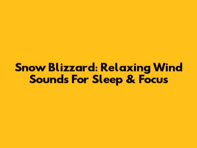 Snow Blizzard: Relaxing Wind Sounds For Sleep & Focus