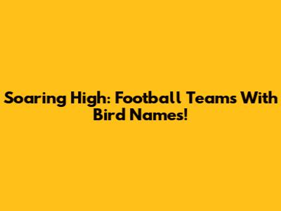 Soaring High: Football Teams With Bird Names!